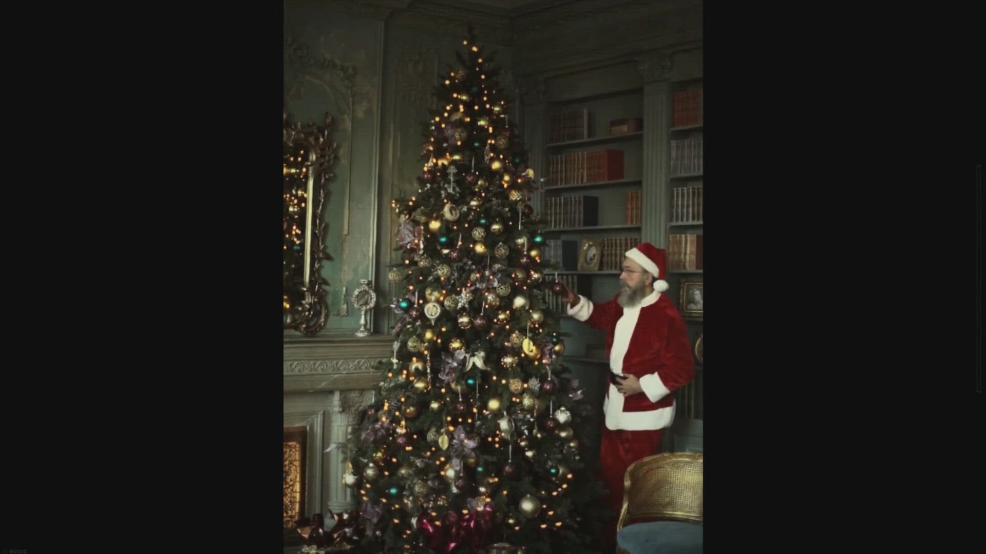 List Of Clothing Brands With Teddy Bear Logos