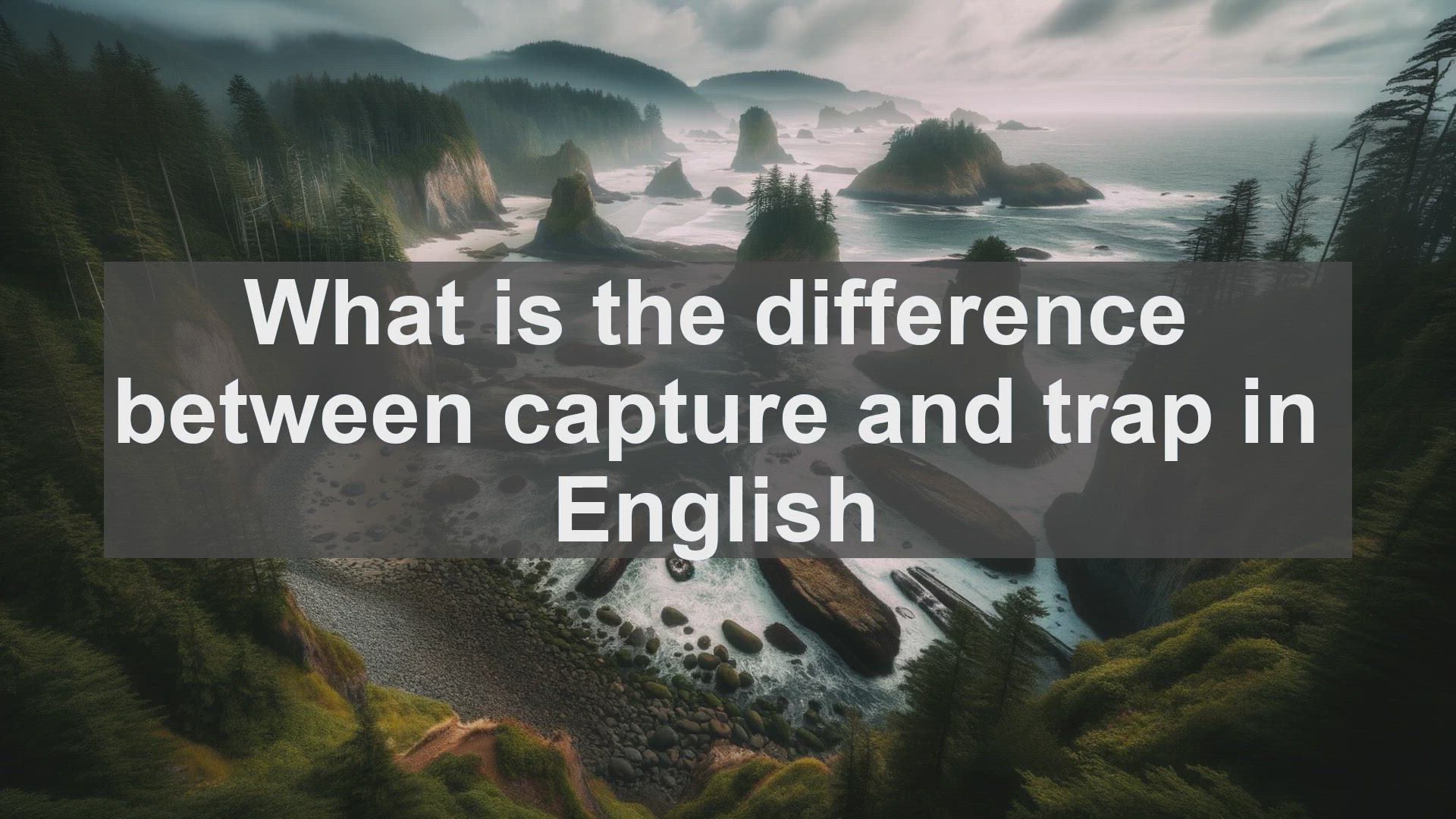 'Video thumbnail for What is the difference between capture and trap in English?'
