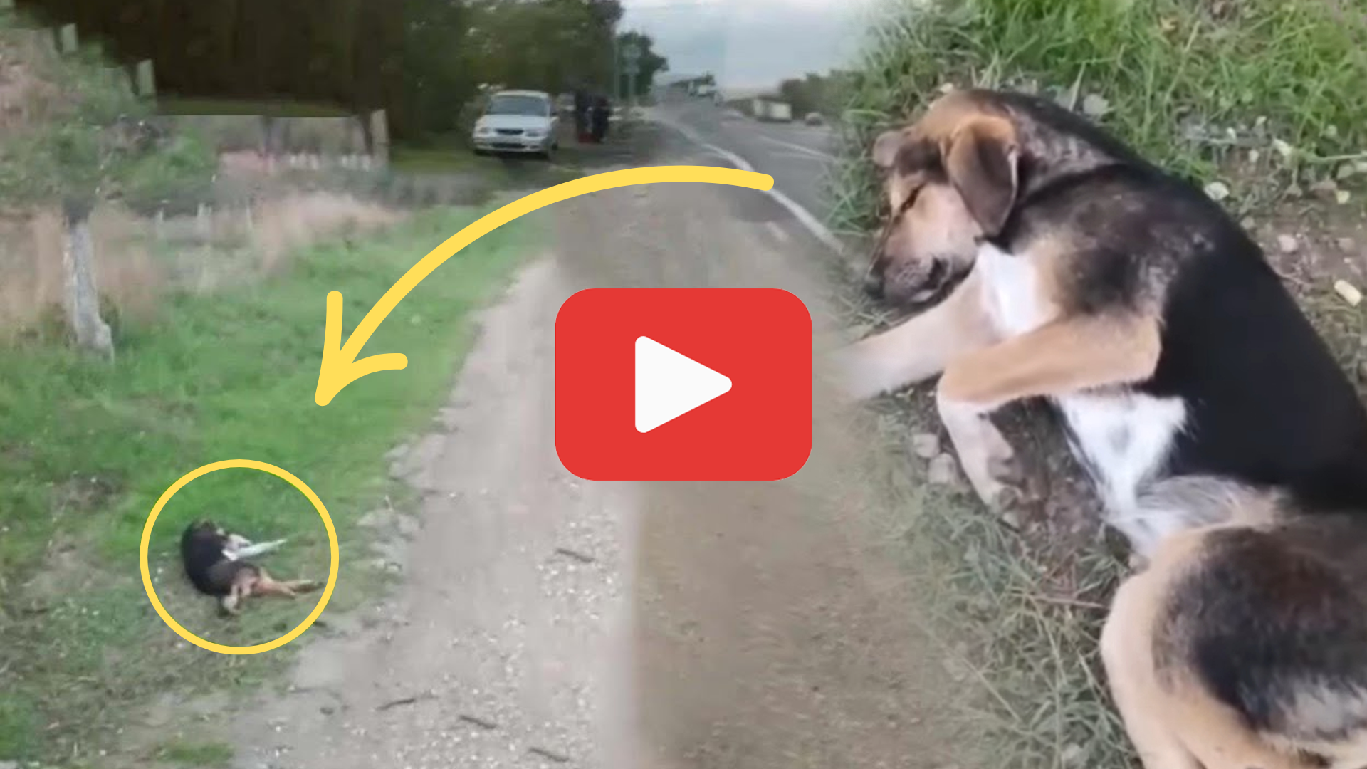 'Video thumbnail for Broken and Ignored: The Heartbreaking Scene No One Stopped For.'
