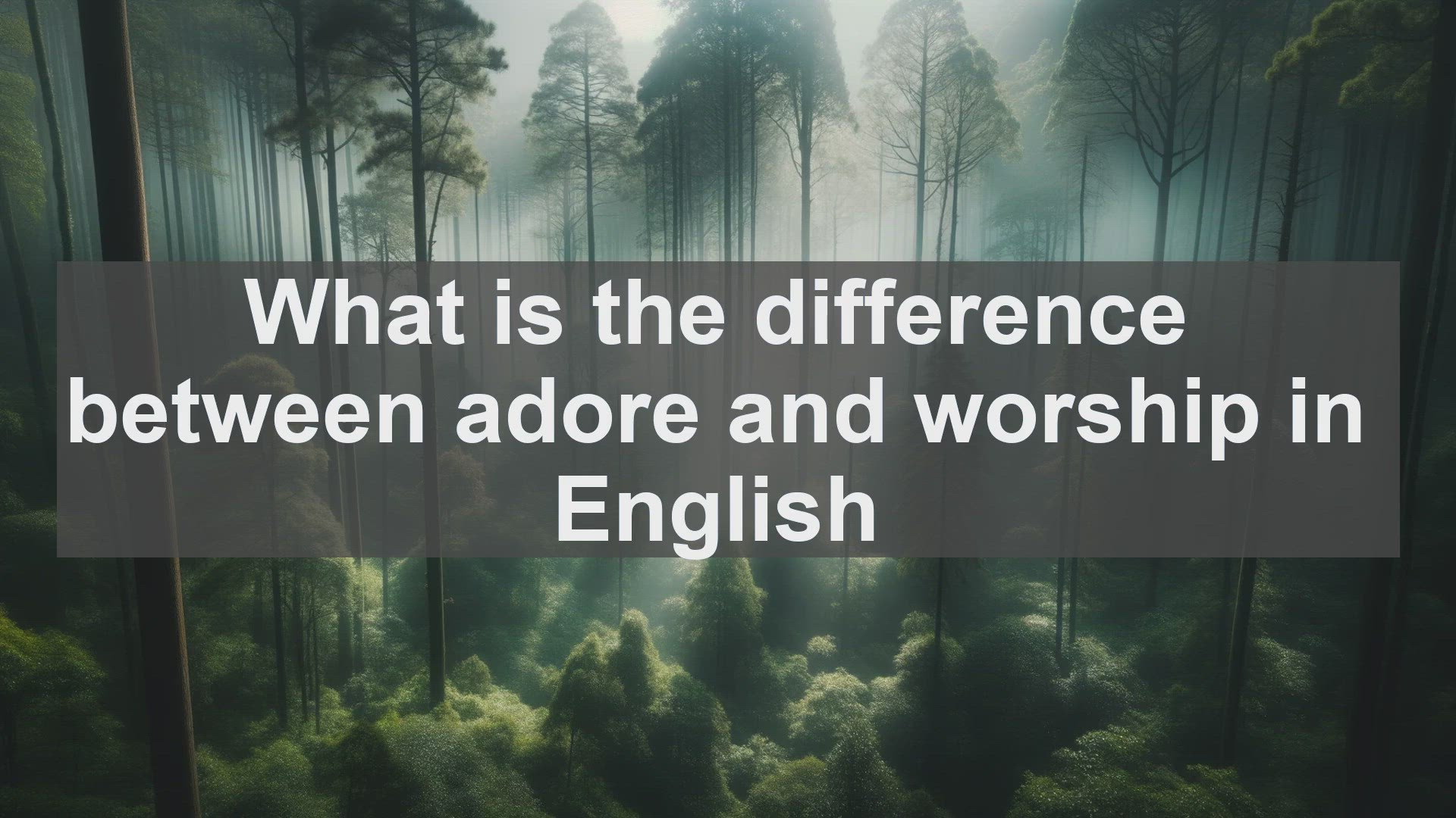 'Video thumbnail for What is the difference between adore and worship in English?'