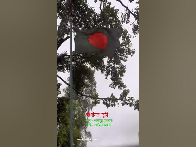 Video thumbnail for Shadhinota Tumi Kobita | স্বাধীনতা তুমি । কবি - শামসুর রাহমান । কণ্ঠে - সেলিনা জাহান