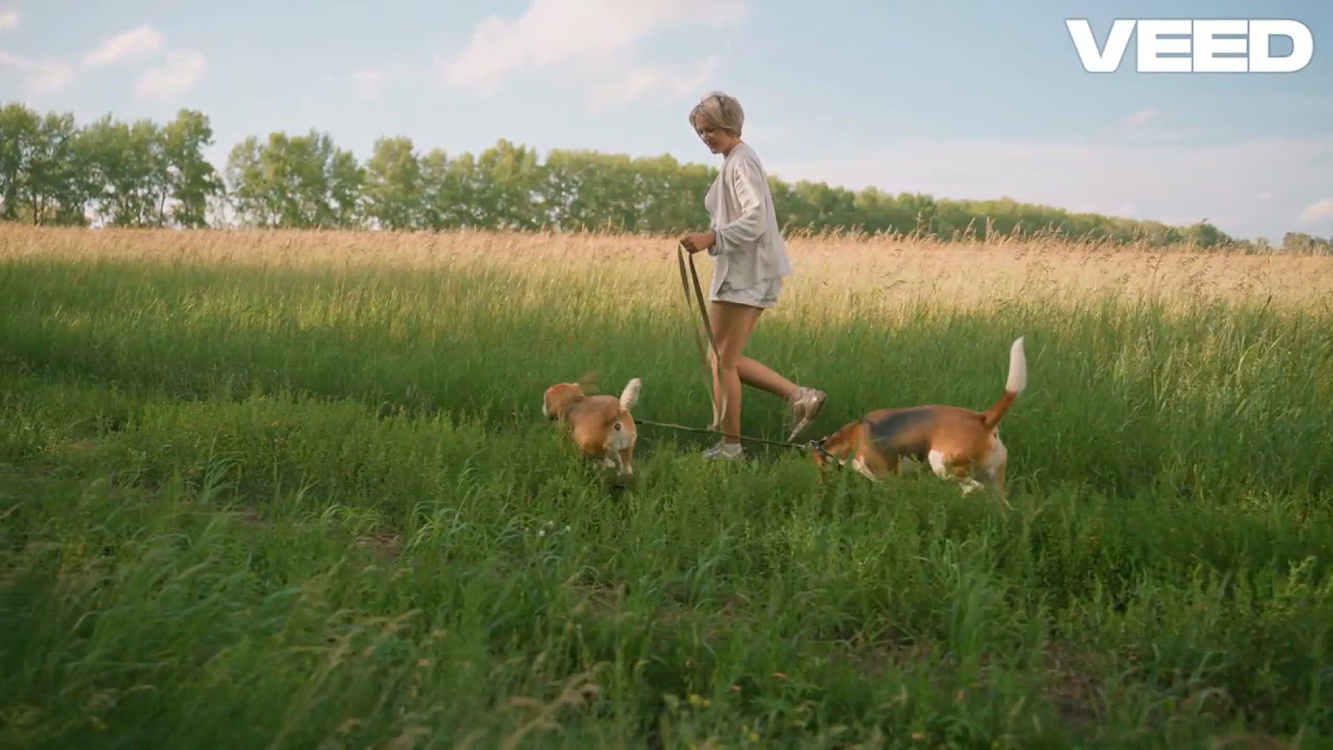 'Video thumbnail for 10 Incredible Animals That Heal You'