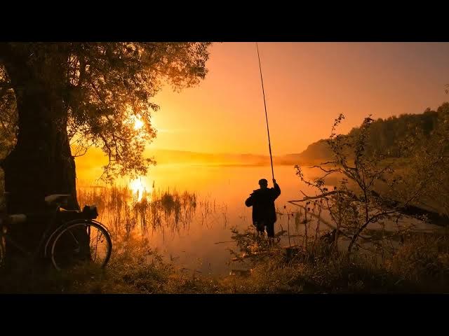 'Video thumbnail for Exploring Minnesota's Lakes: Top Areas and Cottages'