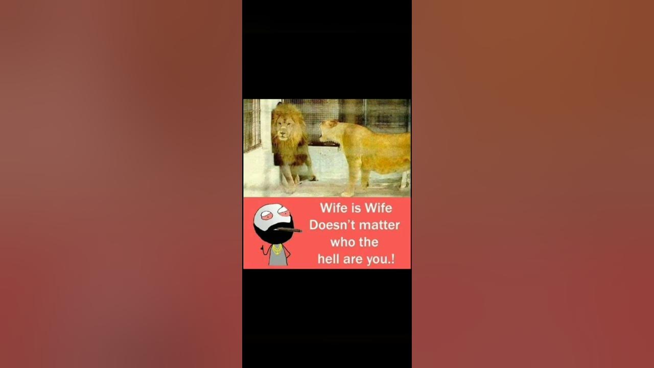 'Video thumbnail for funny memes that will make you laugh #636 || legend memes ||  funny relatable memes 😂 #memes #shorts'