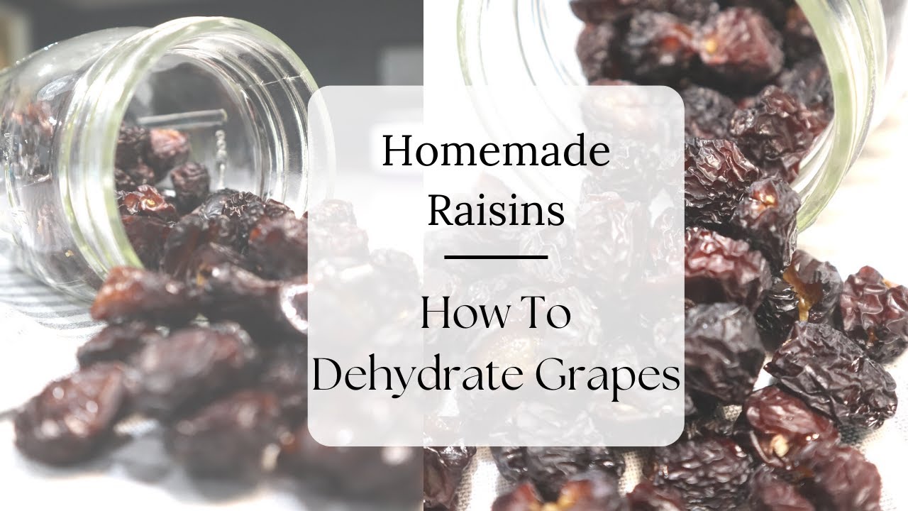Video thumbnail for HOW TO MAKE HOMEMADE RAISINS (EASY DEHYDRATED GRAPES)