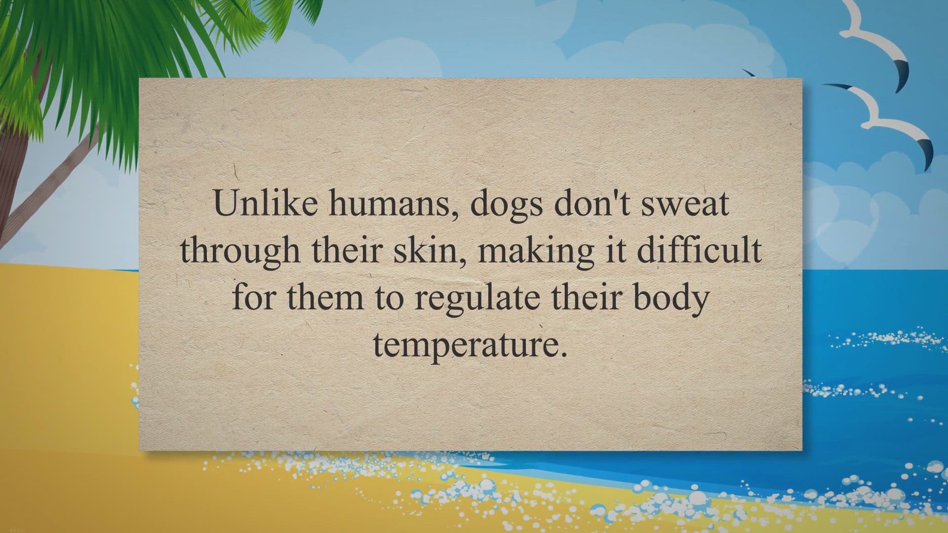 Video thumbnail for Beat the Heat: 5 Ways to Keep Your Dog Cool and Safe this Summer