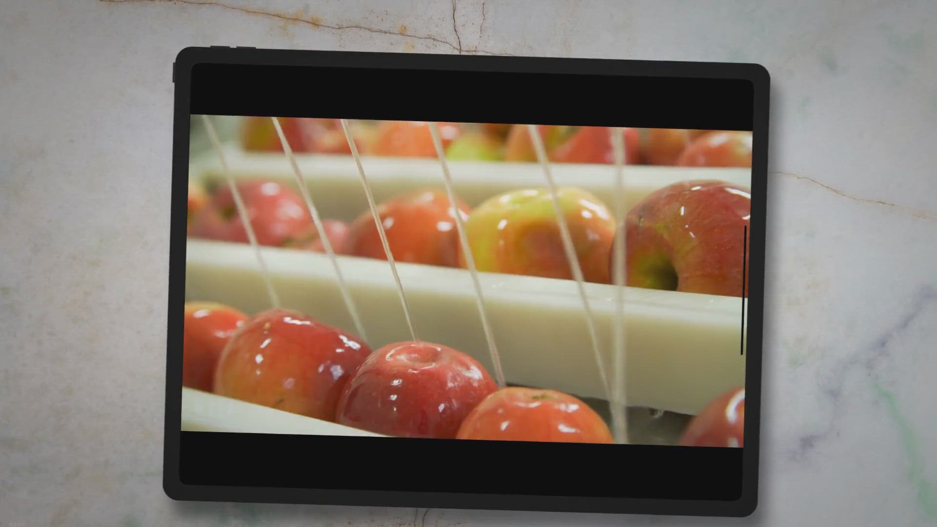 Video thumbnail for The Baldwin Apple: A Guide to the History, Characteristics, and Uses of This Classic American Apple Variety
