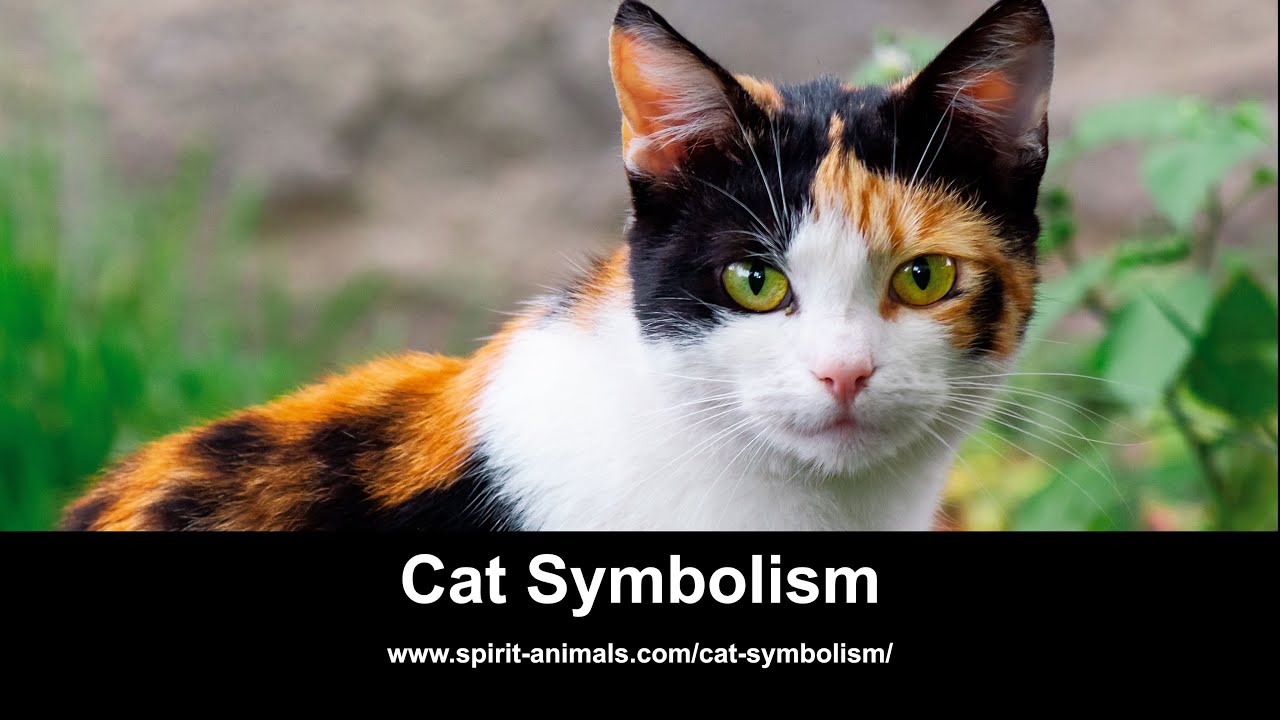 Kitty Cat Spirit Animal Journal