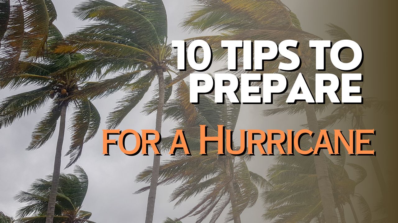 Playlist thumbnail for Emergency Preparedness