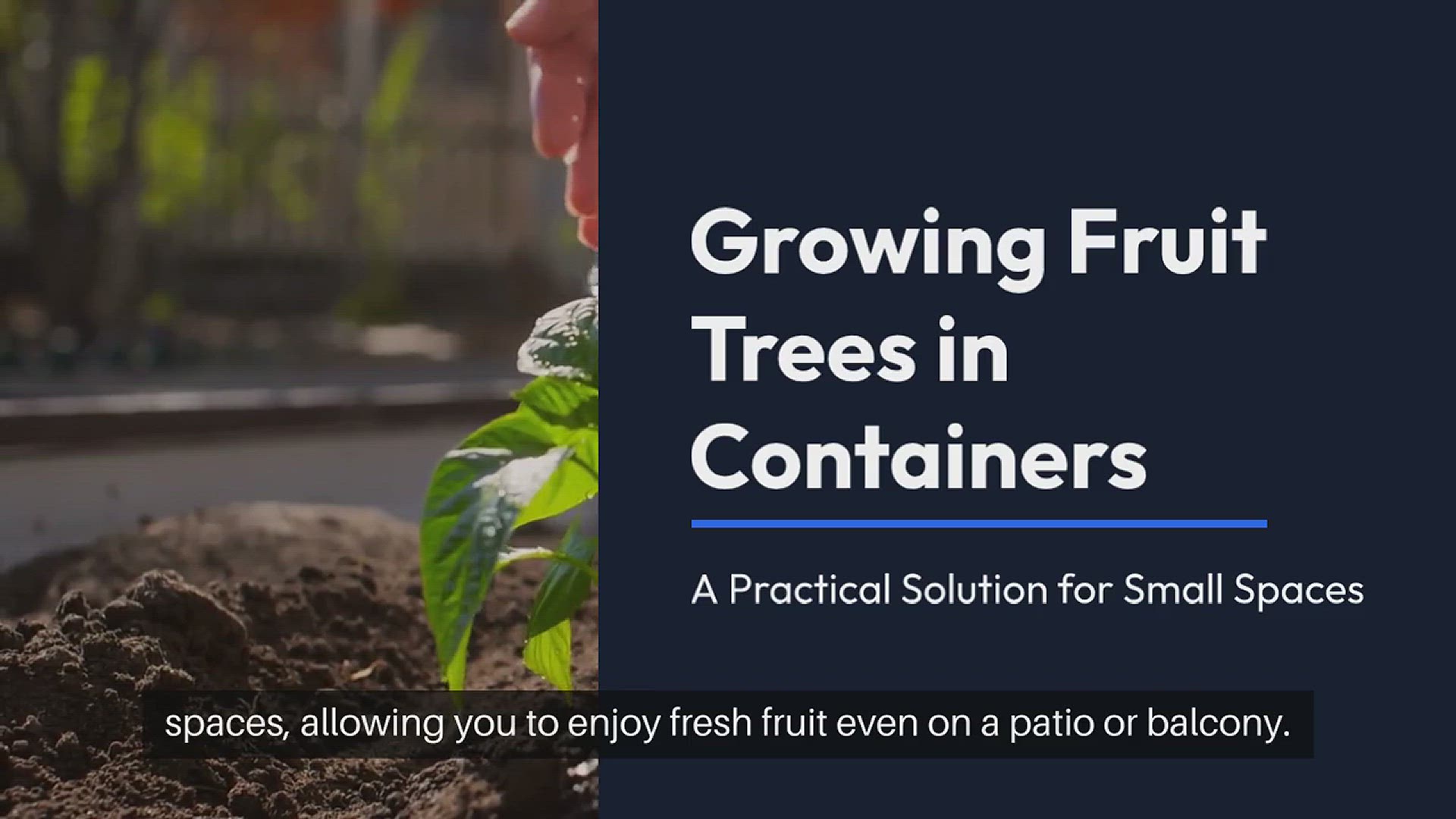 'Video thumbnail for DIY Fruit Tree Containers'