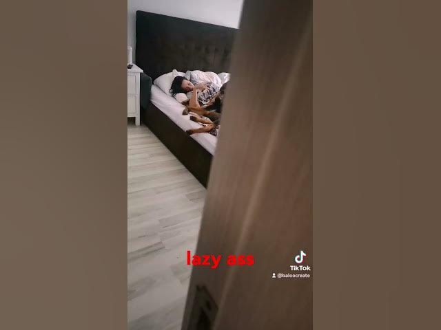 'Video thumbnail for #mom #dog #dogs #gds'