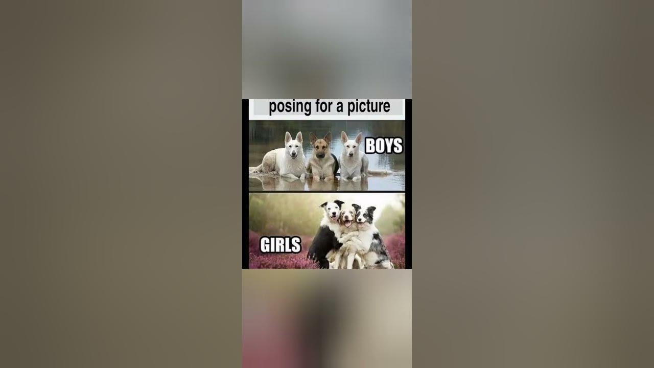 'Video thumbnail for funny memes that will make you laugh #605 || legend memes ||  funny relatable memes 😂 #memes #shorts'