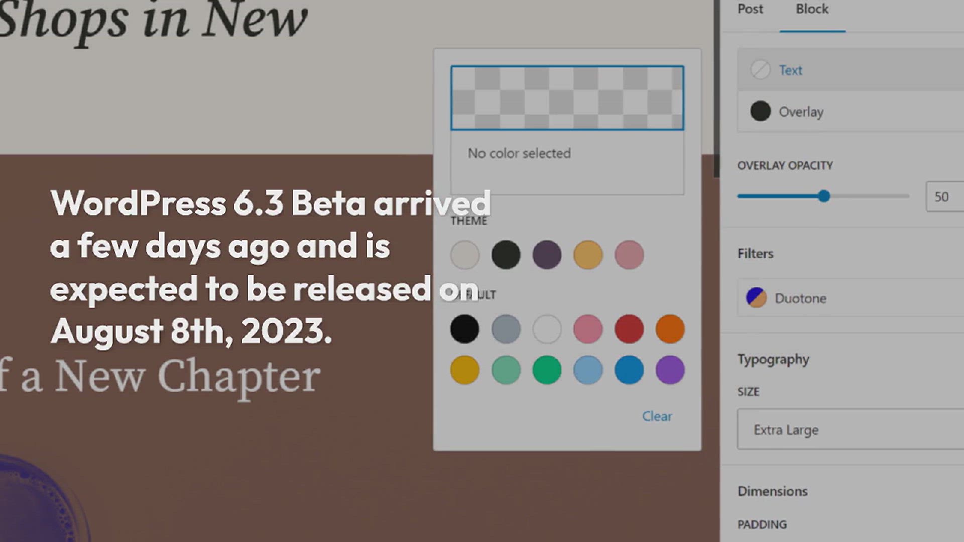 'Video thumbnail for What’s Coming in WordPress 6.3 (Features and Screenshots)'