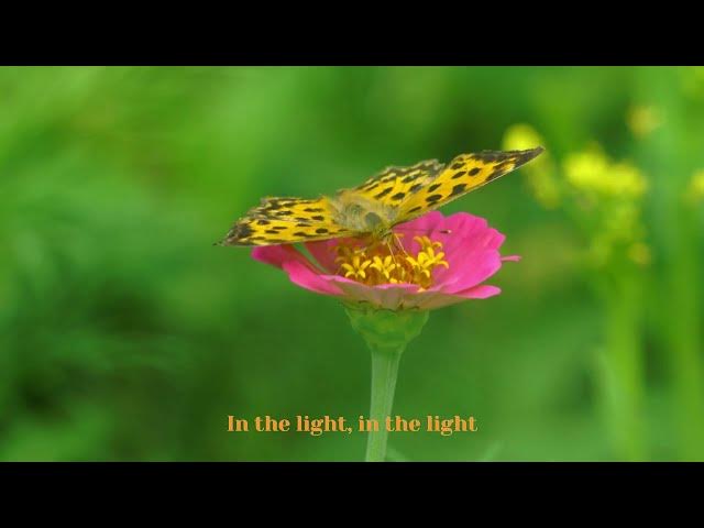 Video thumbnail for HalleluYah I'm Alive (TonYah's Song)