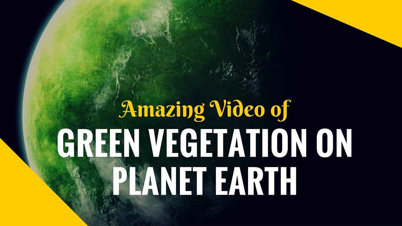 'Video thumbnail for Amazing Views of Green Vegetation on Planet Earth | Satellite pictures of Earth's plantation'