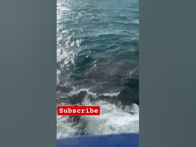 Video thumbnail for 28 August 2024