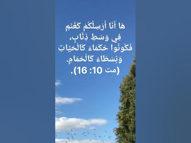 Video thumbnail for هَا أَنَا أُرْسِلُكُمْ كَغَنَمٍ فِي وَسْطِ ذِئَابٍ، فَكُونُوا حُكَمَاءَ كَالْحَيَّاتِ #shorts