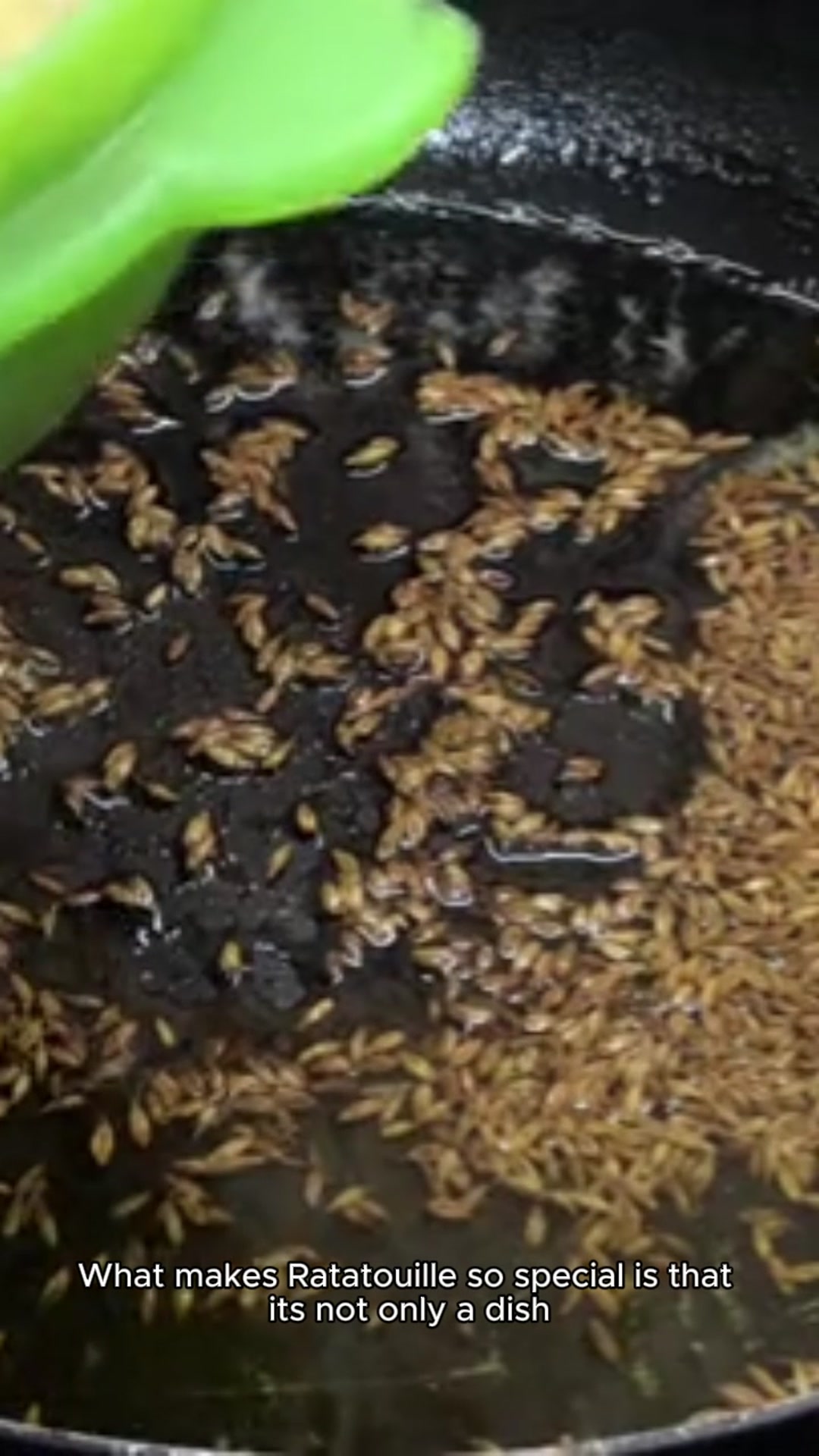 Video thumbnail for Ratatouille