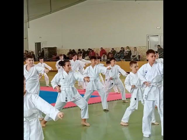 Video thumbnail for Karateka de la SCM Zalău participă la faza zonală a Campionatului Național de Karate Tradițional