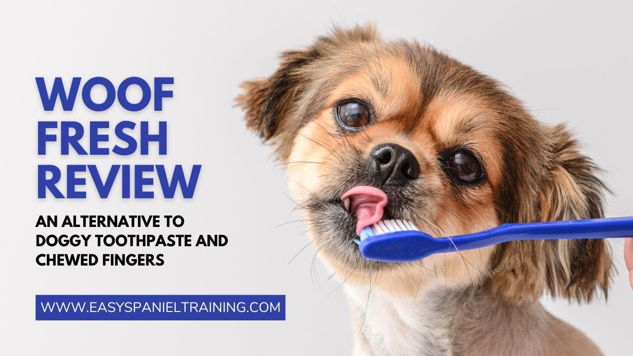 Puppy teething and cheap bad breath