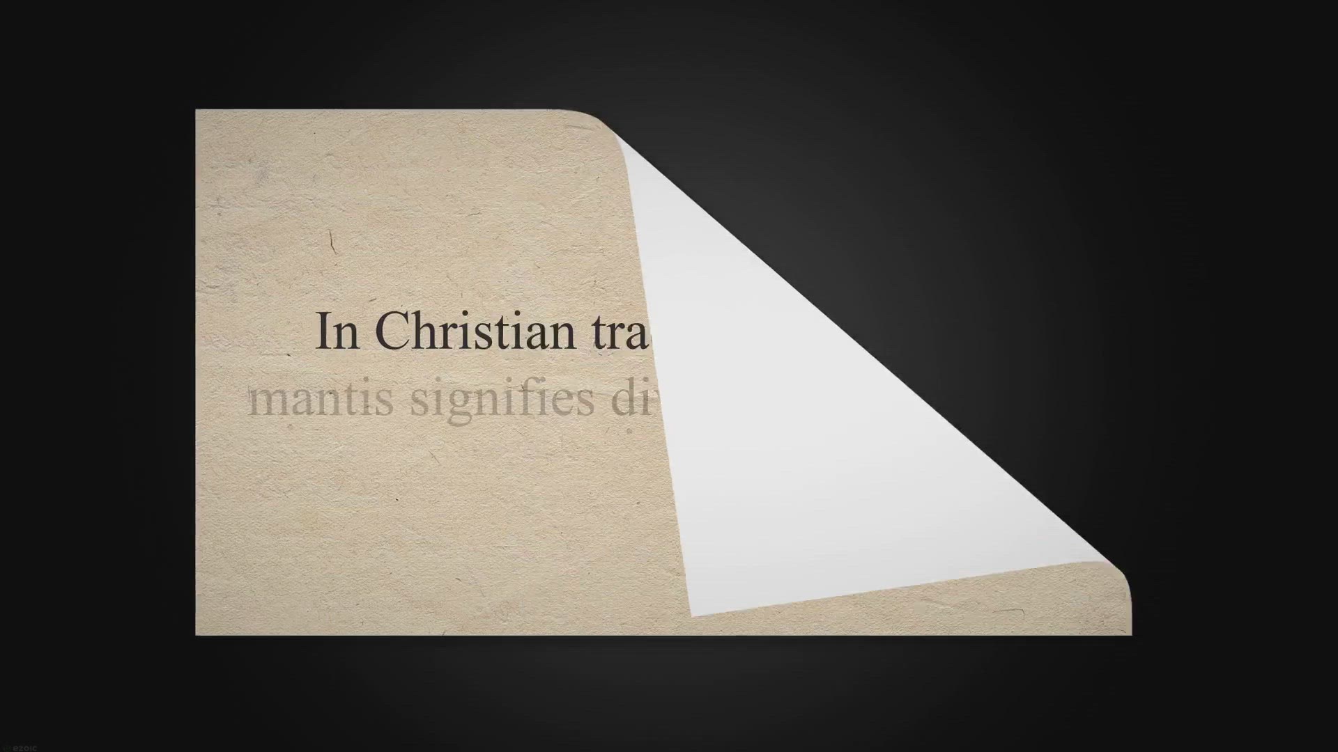 'Video thumbnail for Biblical Meaning of Seeing a Praying Mantis: What Does It Symbolize?'