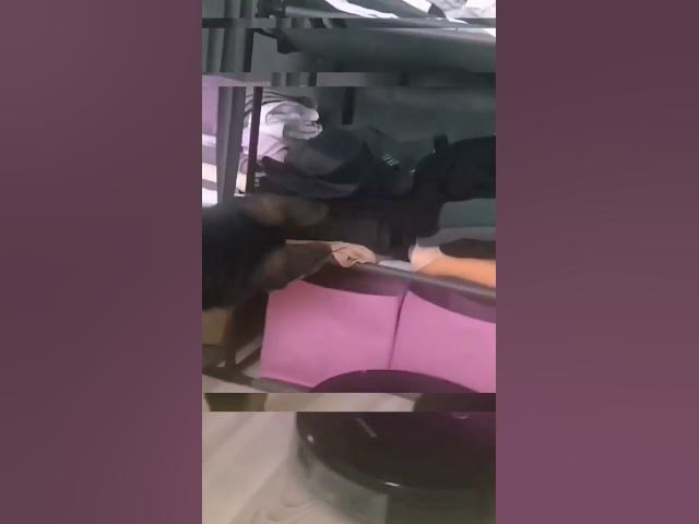'Video thumbnail for 😀'