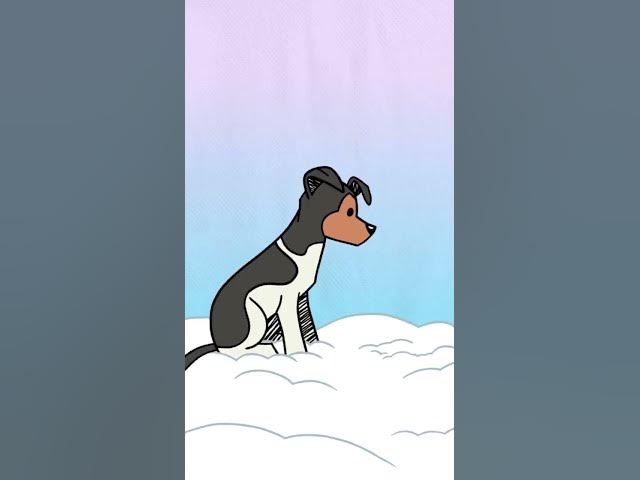 'Video thumbnail for Dog in heaven! #happydogs #cutestdogs #smartdog #dogsofyoutube #doggo #helpdogs'