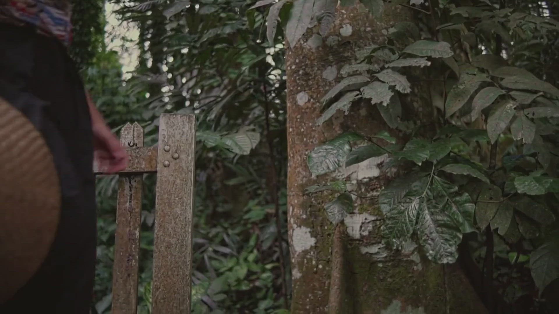 'Video thumbnail for Endless Path : Infinite Cosmos / Chapter 2: The Beginning of the End. Part 2/2'