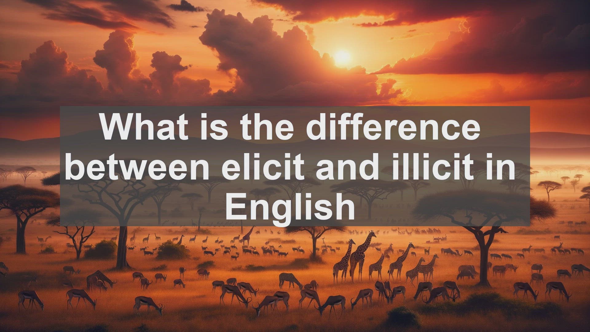 'Video thumbnail for What is the difference between elicit and illicit in English?'