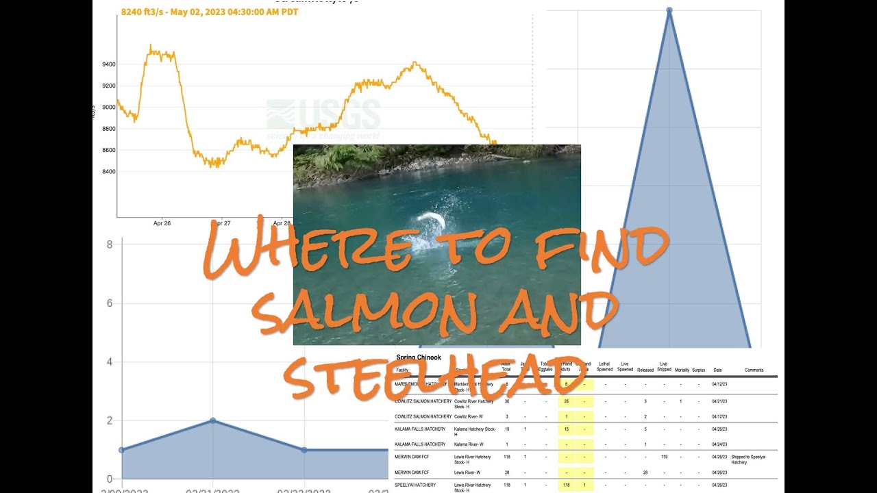 'Video thumbnail for Where to find salmon and steelhead'