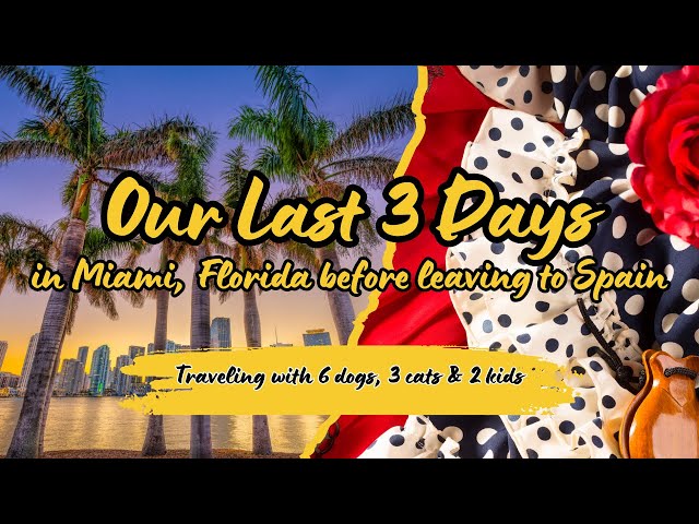 Video thumbnail for Our last 3 days in Florida! (Part 1/3) #relocationstory #movingtospain #Miami #Spain #travelvideo
