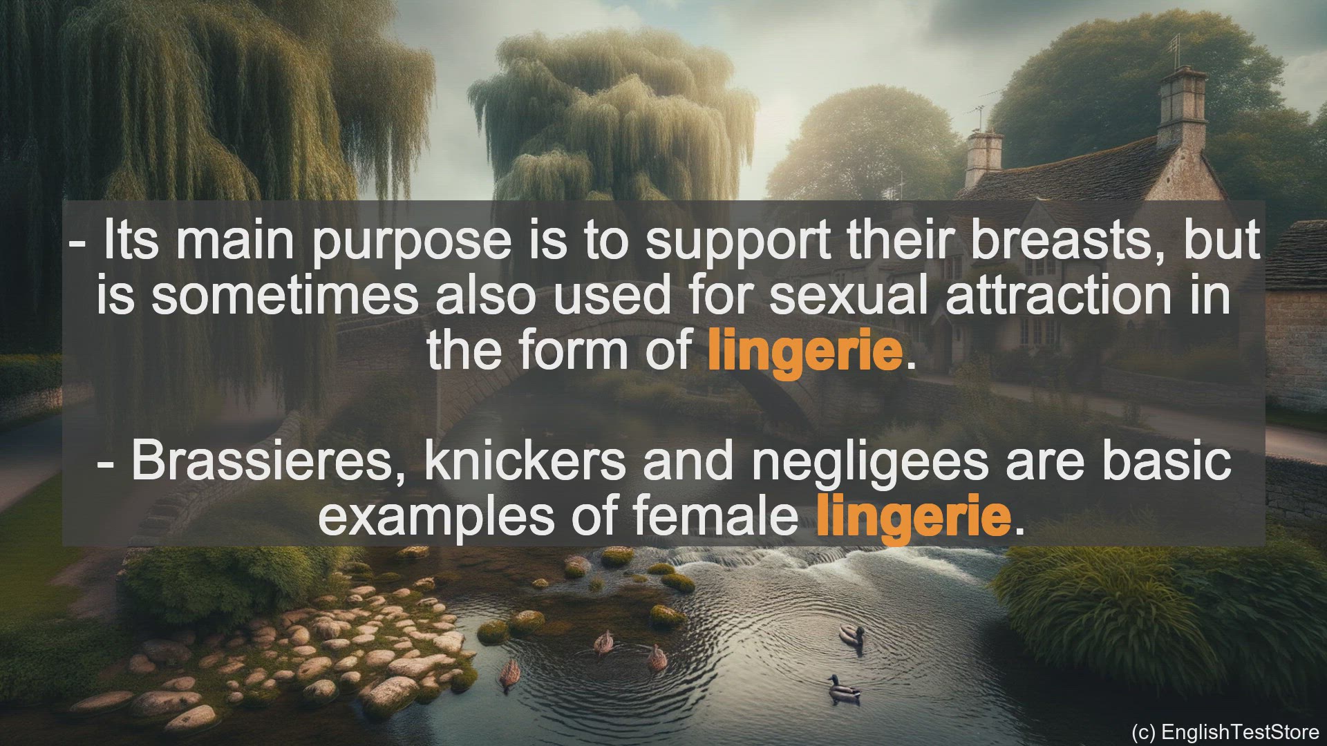 'Video thumbnail for Lingerie In Sentences - Examples Of Lingerie In Sentences'