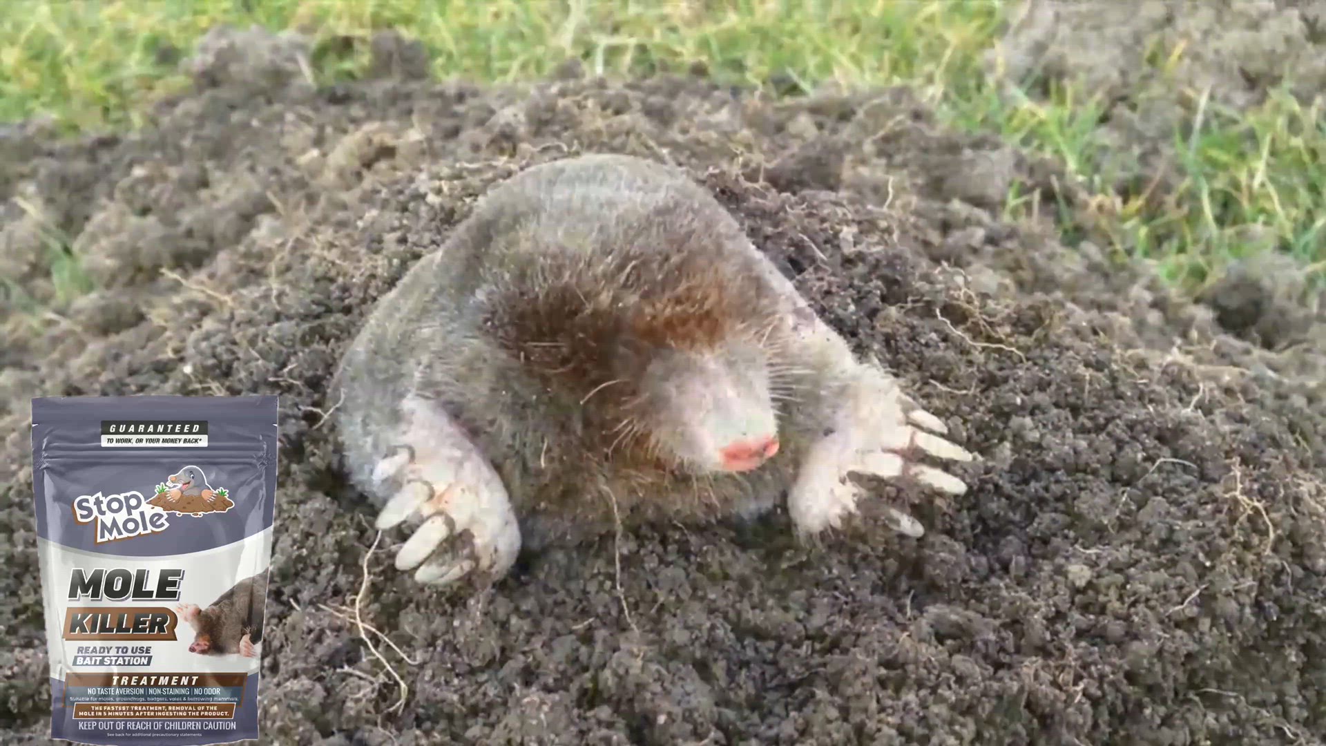 Video thumbnail for Stop Mole Avis - Anti Taupes
