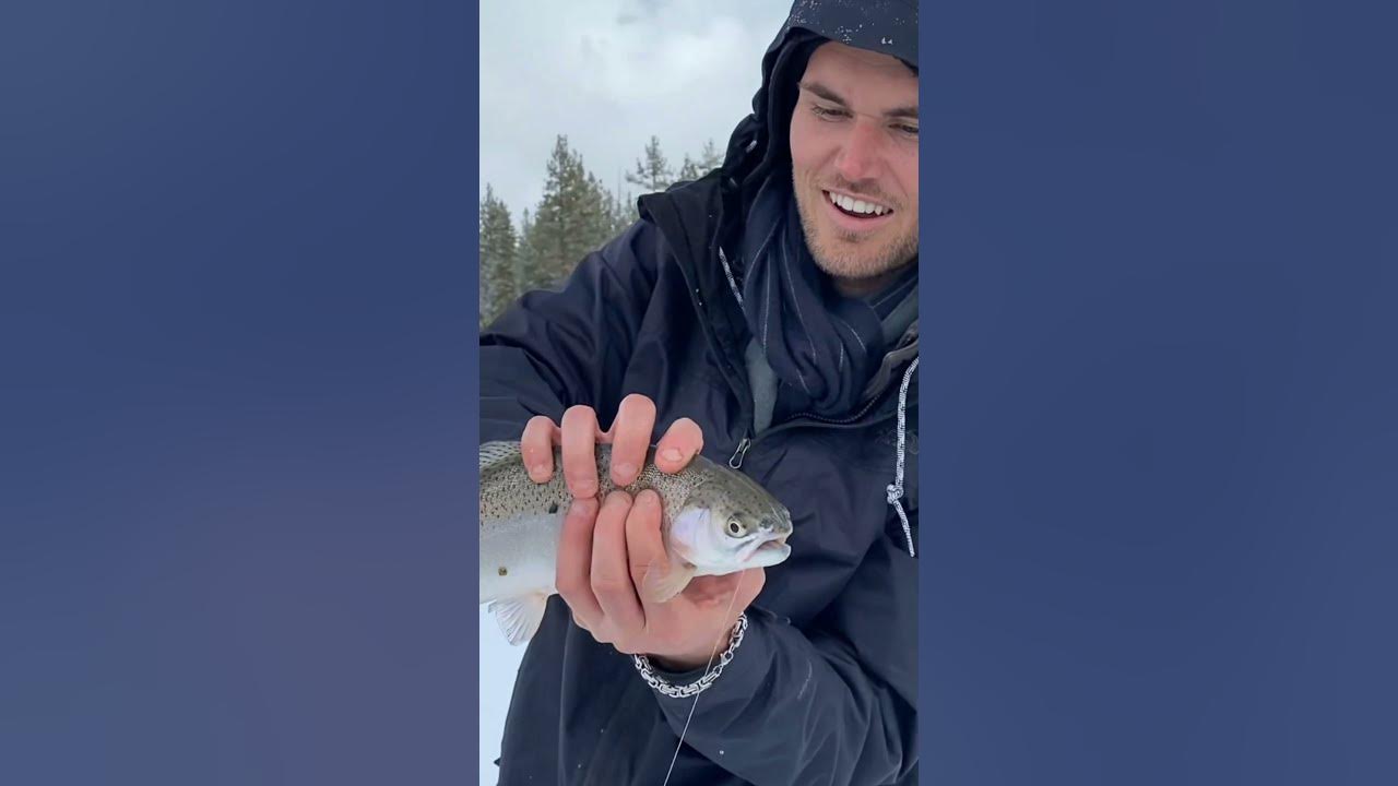 Video thumbnail for Snow Fishing for Trout || Big Bear Lake || #Shorts