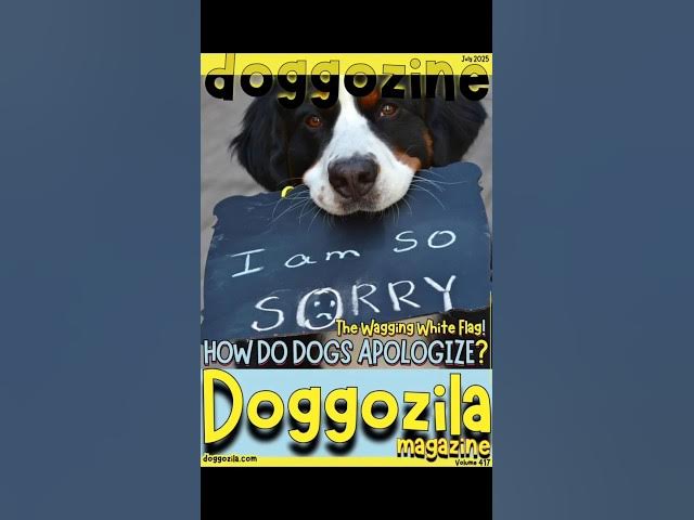 Video thumbnail for How do dogs apologize?
