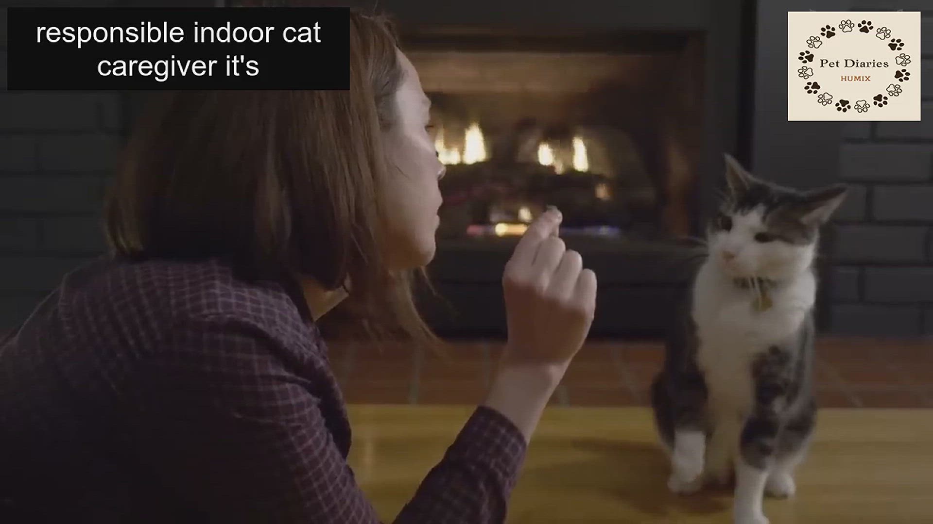 Video thumbnail for Common Indoor Cat Mistakes - Never do This!