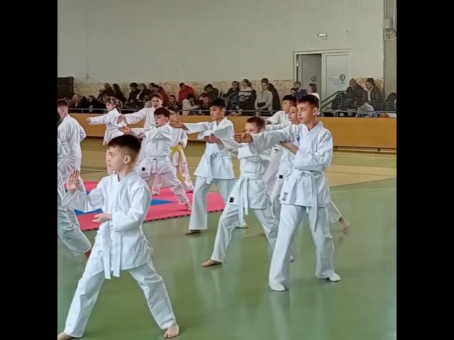 Video thumbnail for Karateka de la SCM Zalău participă la faza zonală a Campionatului Național de Karate Tradițional 3