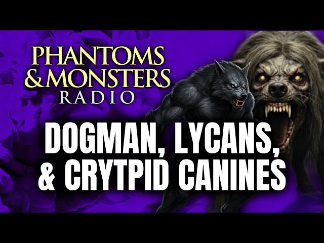 'Video thumbnail for DOGMAN, LYCANS, & CRYPTID CANINES - MONSTERS CLOSE TO HOME! | Live Chat Q&A | (REAL ENCOUNTERS!)'
