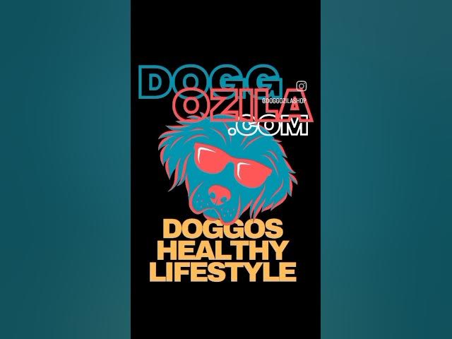 'Video thumbnail for Funny little doggos #smalldogs #littlepuppies #cutestdogs #cutestdogs #gooddoggo #dogsofyoutube'