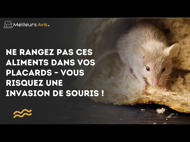 Video thumbnail for Ne rangez pas ces aliments dans vos placards – vous risquez une invasion de souris !
