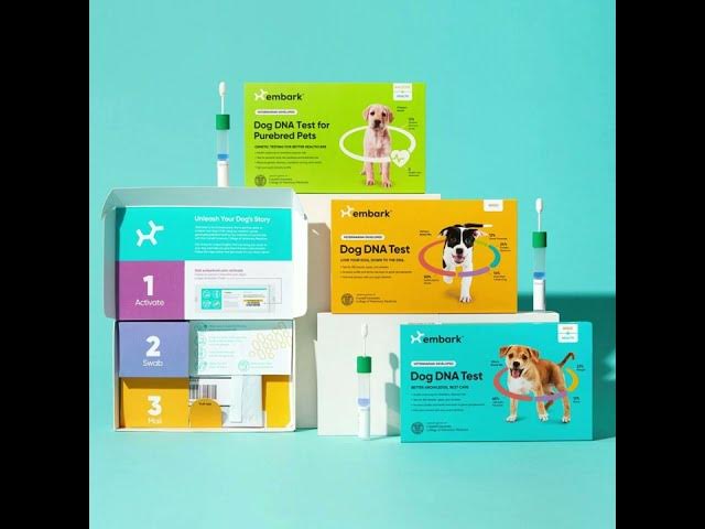 'Video thumbnail for Embark dog DNA test kits'