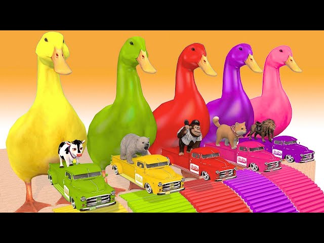 Video thumbnail for Long Slide Game With Cow Elephant Gorilla Hippopotamus Tiger 3d Animal Game Funny 3d Animals