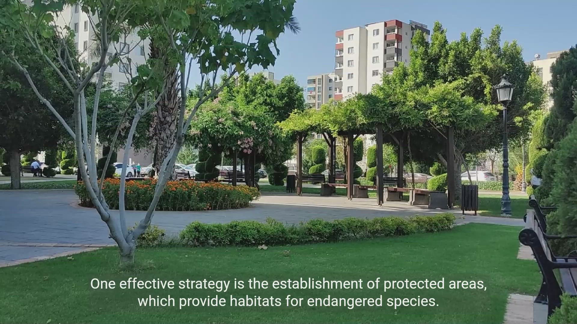 'Video thumbnail for Unleashing Effective Conservation Strategies'