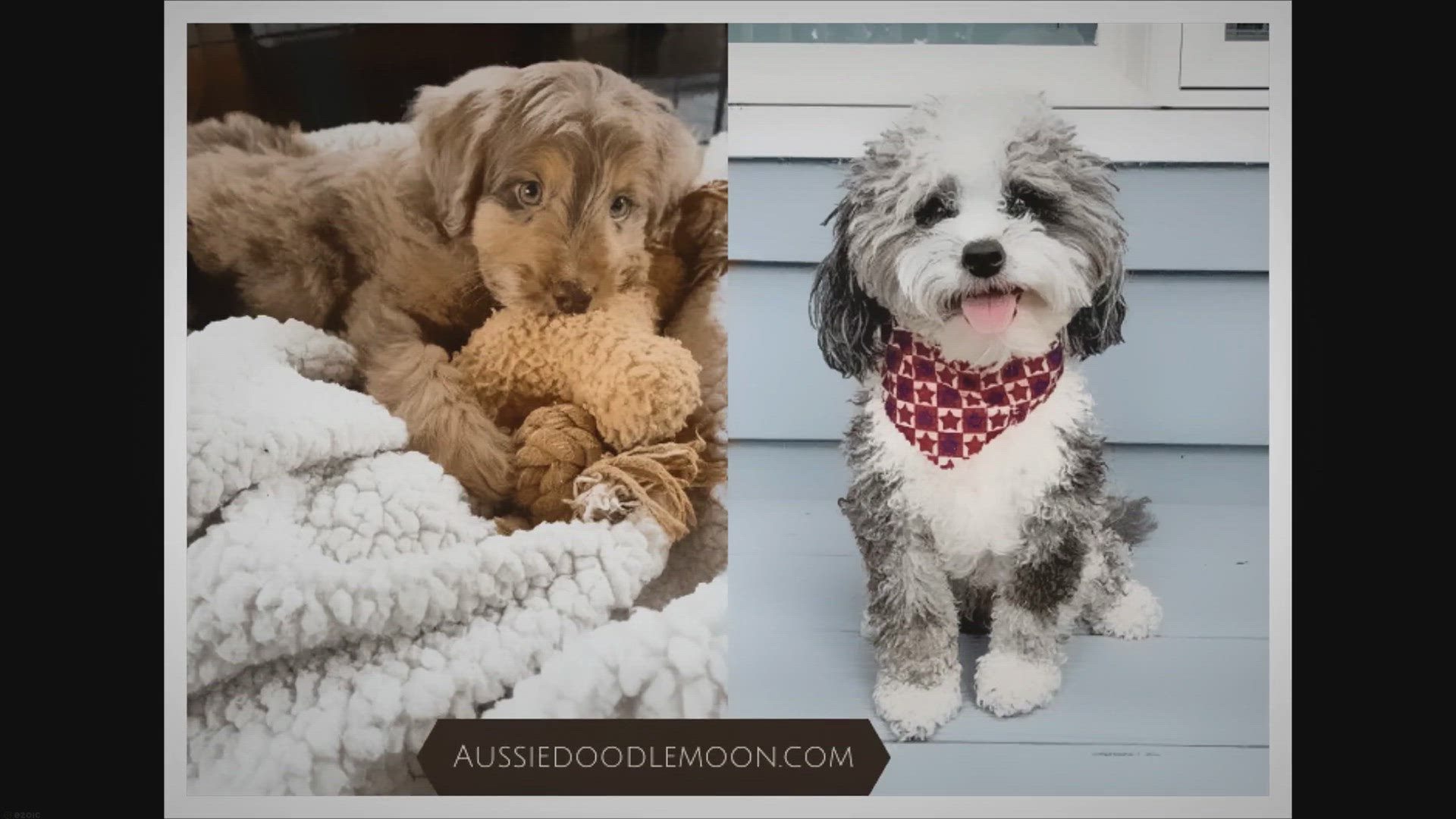 Video thumbnail for Complete Information - 2023