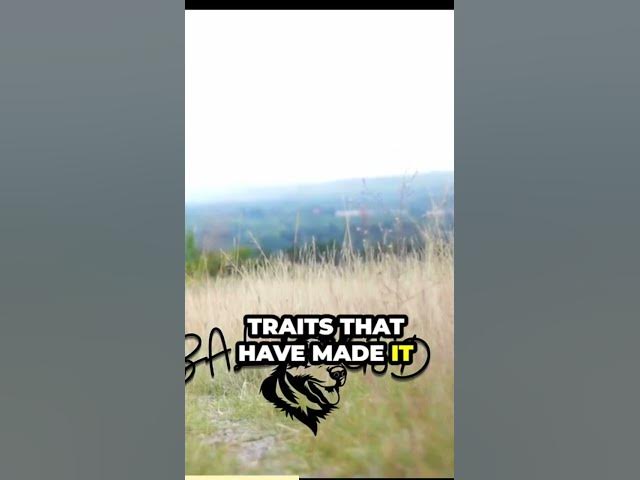 'Video thumbnail for Part 3'