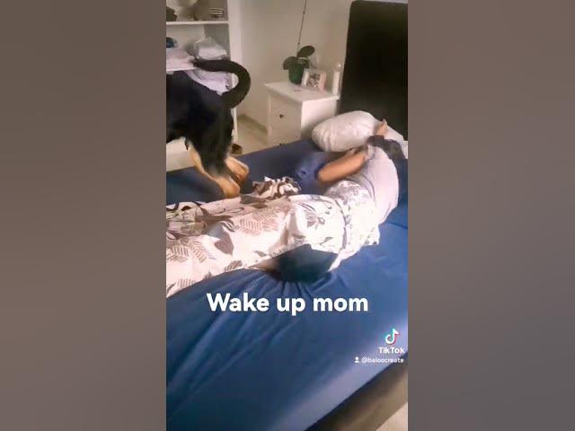 'Video thumbnail for Wake up mom'