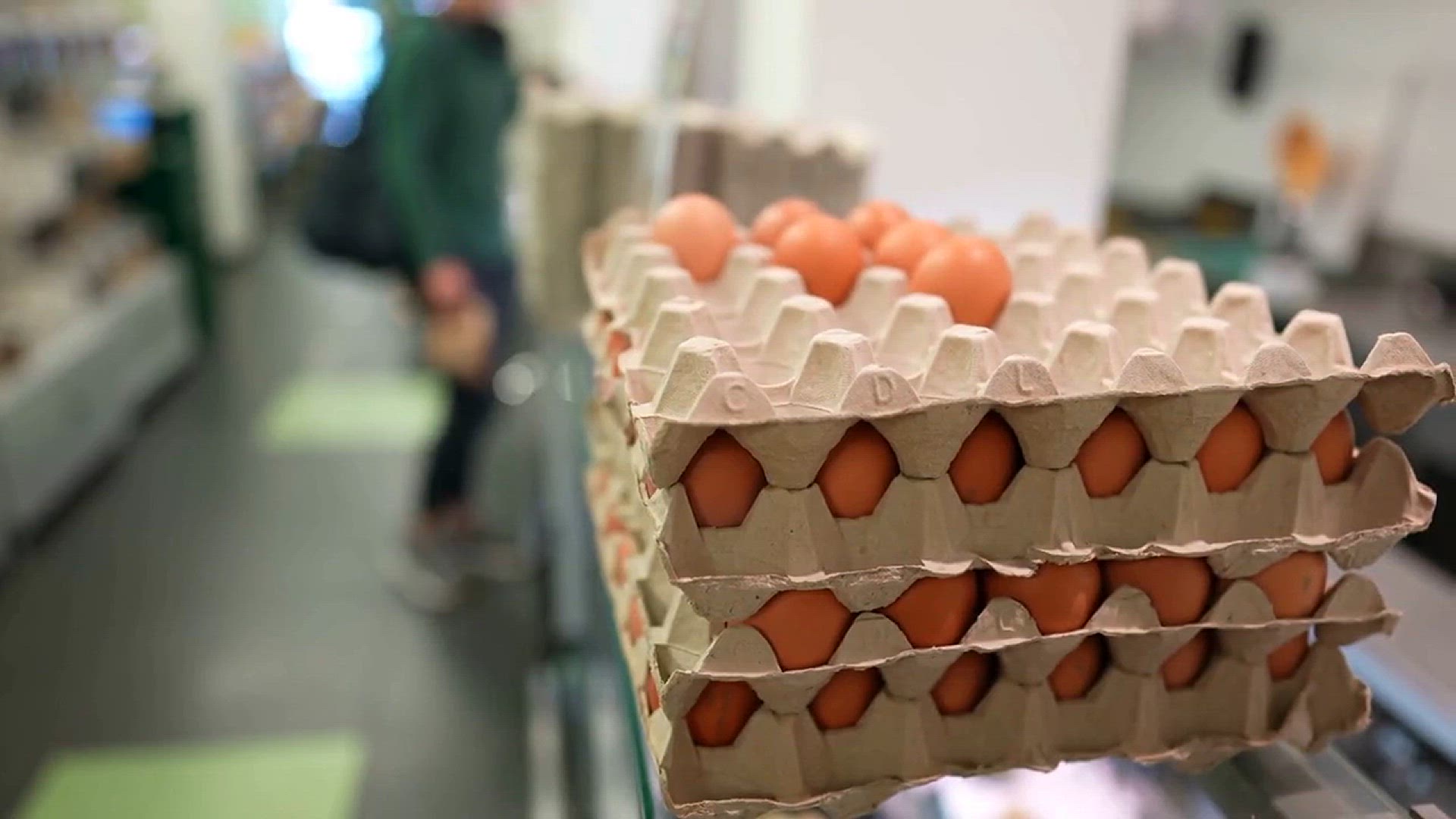 'Video thumbnail for Costco Eggs Recalled What You Need to Know to Protect Your Family – FDA Alert'
