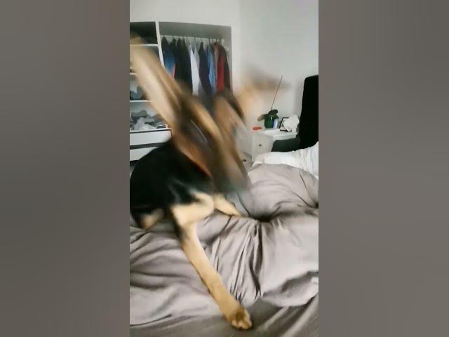 'Video thumbnail for hahaaah'