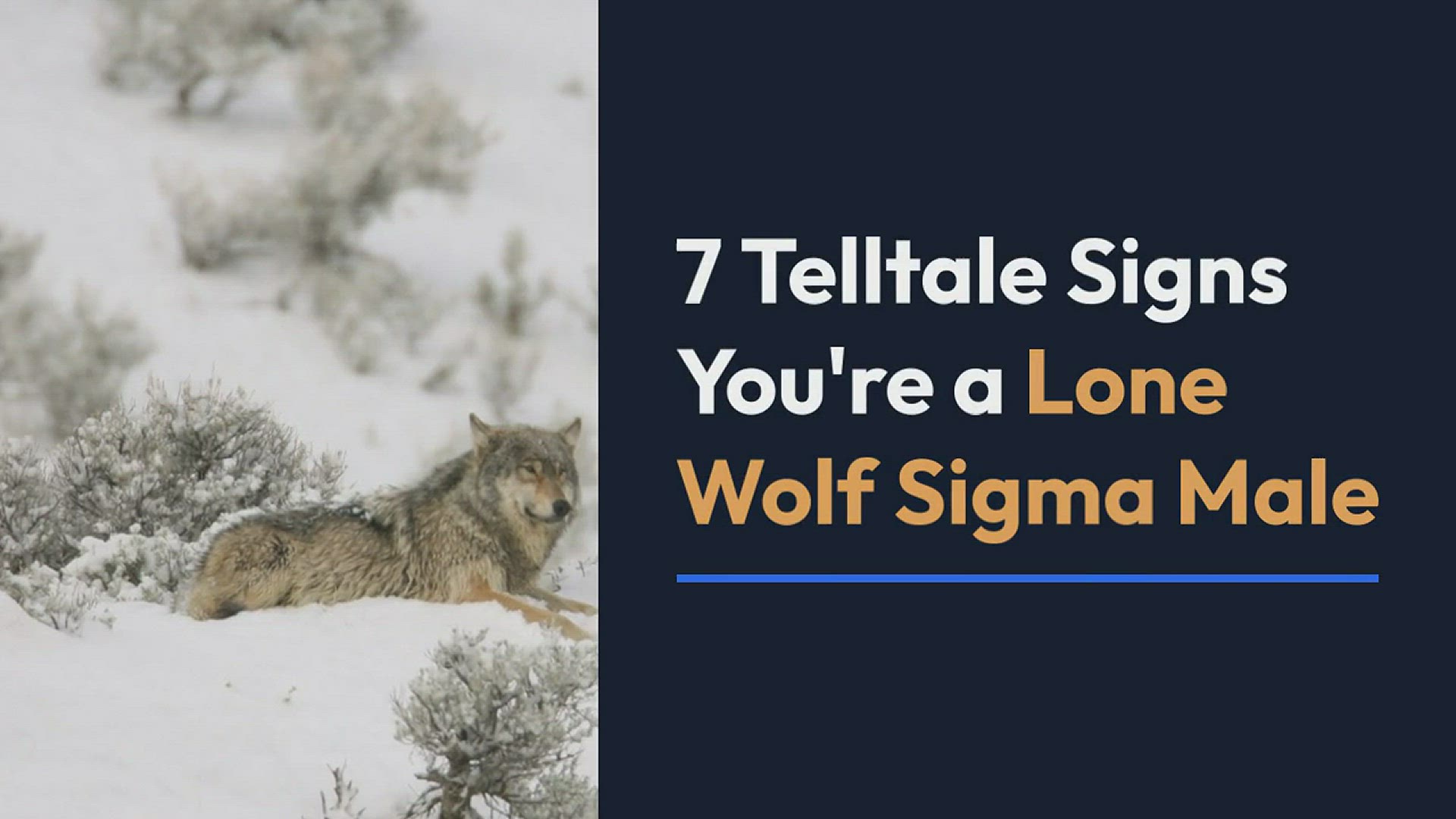 12 Traits of A Sigma Male - New Trader U