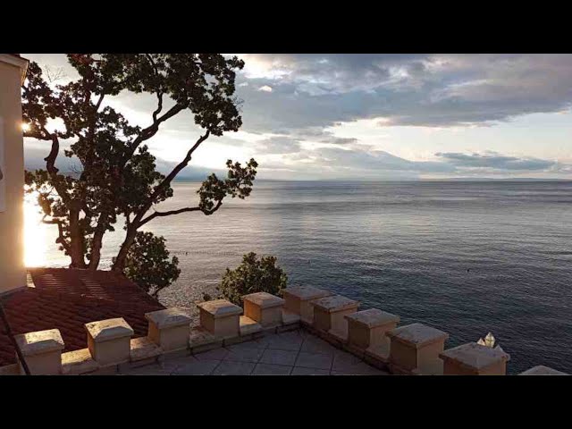 Playlist thumbnail for Wellness